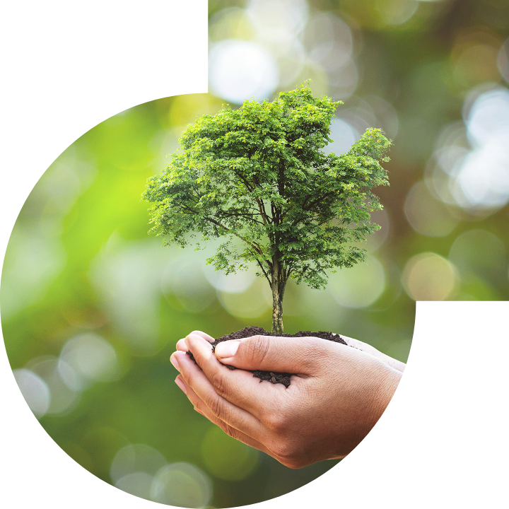 关怀人类、文化、环境与社会